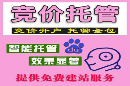 sem竞价托管代运营的五大经典案例